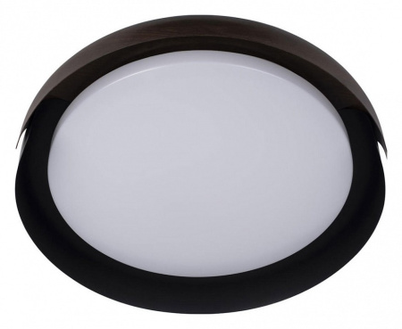 Накладной светильник Loft it Coin 10198 Black