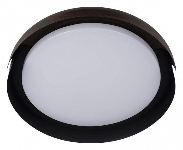 Накладной светильник Loft it Coin 10198 Black