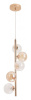 Подвесная люстра Arte Lamp Etereo A5261SP-5GO