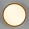 Накладной светильник Citilux NORMA CL749501