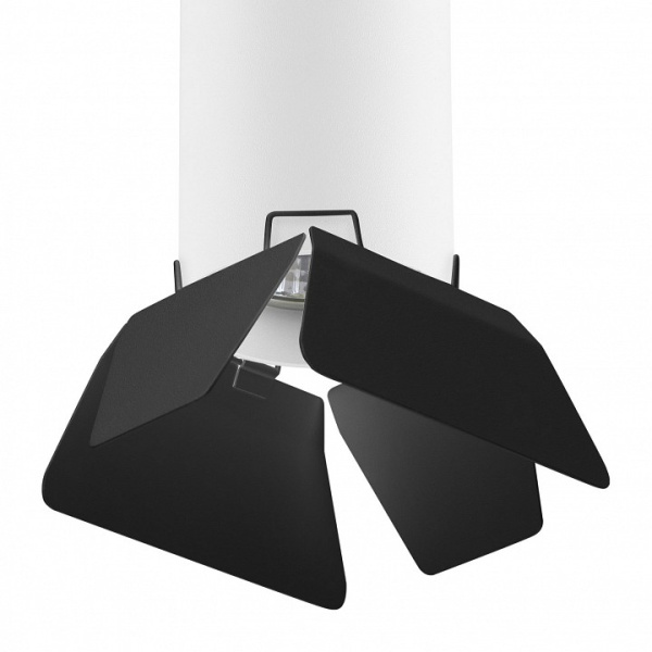 Накладной светильник Lightstar Rullo R496437