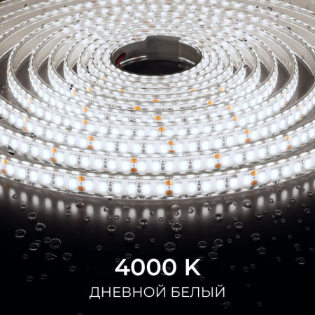 Лента светодиодная Apeyron Electrics  00-448