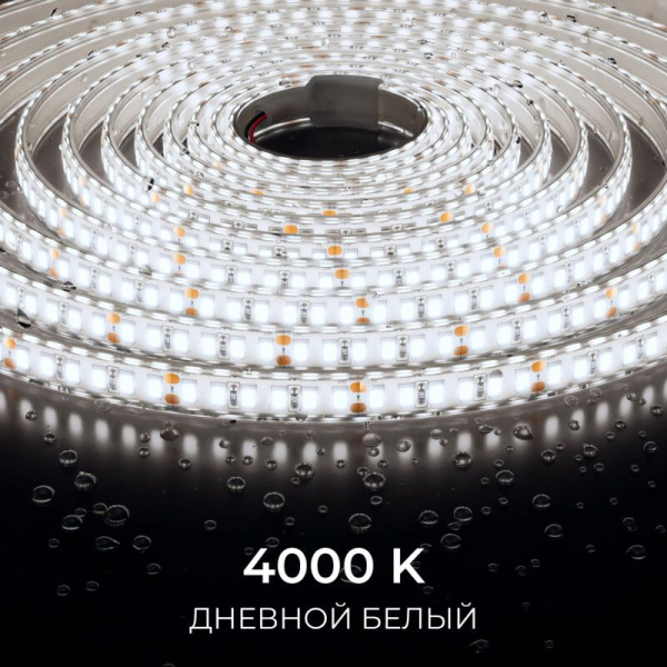 Лента светодиодная Apeyron Electrics  00-448