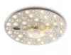 Модуль светодиодный Ambrella Light FZ FZ1501