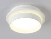 Накладной светильник Ambrella Light TN TN5383