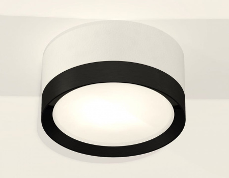 Накладной светильник Ambrella Light XS XS8101002