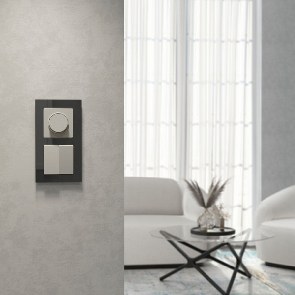 Выключатель двухклавишный без рамки Werkel дымчатый W1220004