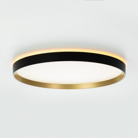 Накладной светильник Citilux ETALON CL750401R