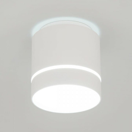 Накладной светильник Citilux Борн CL745020N