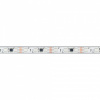 Лента светодиодная Arlight SPI 039599