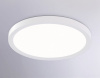 Накладной светильник Ambrella Light FZ FZ1903