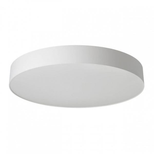 Накладной светильник Citilux BART CL755490