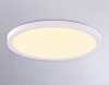 Накладной светильник Ambrella Light FZ FZ1909