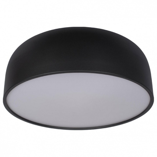 Накладной светильник Loft it Axel 10201/480 Black