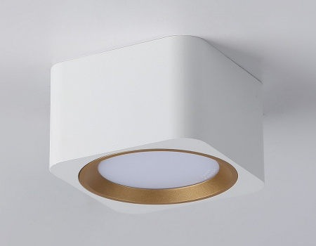 Накладной светильник Ambrella Light TN TN70831