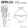 Подвесная люстра Citilux LASS CL249051