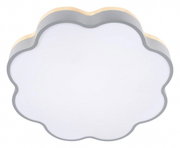 Накладной светильник Loft it Axel 10225/36 Grey