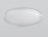 Накладной светильник Ambrella Light ORBITAL FZ1605