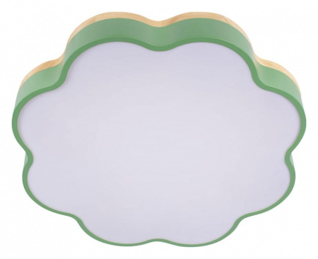 Накладной светильник Loft it Axel 10225/36 Green
