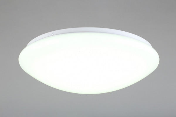 Накладной светильник Omnilux Berkeley OML-43007-40