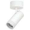 Спот Lightstar Canno Pro C4306SO