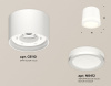 Накладной светильник Ambrella Light XS XS8110003