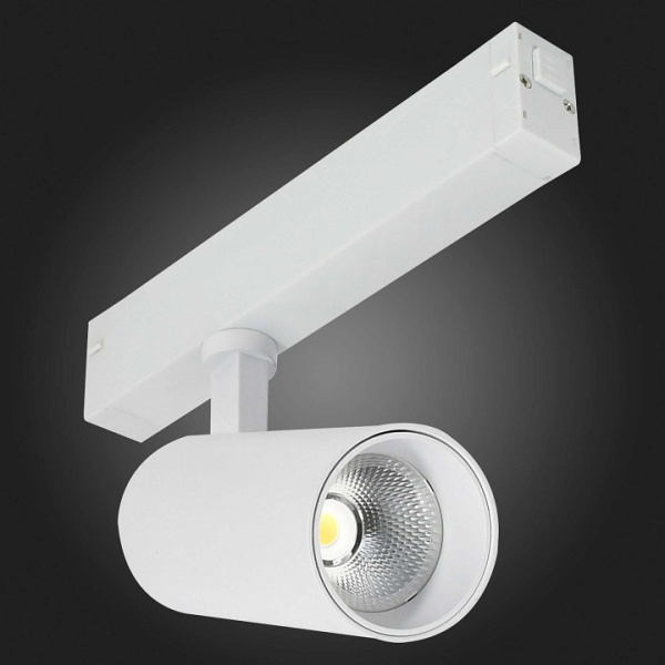 Светильник на штанге ST-Luce SKYLINE 220 ST660.596.20H