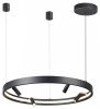 Подвесная люстра Odeon Light Fonda 4317/58L