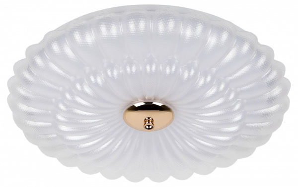 Накладной светильник Эра  SPB-6 Chester 48W-5K WH+GD