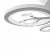 Потолочная люстра Freya Bodge FR10017CL-L92W