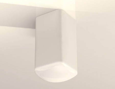 Накладной светильник Ambrella Light XS XS7820022