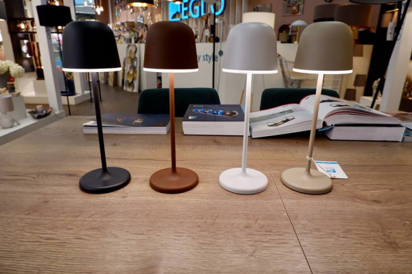 Настольная лампа декоративная Eglo Mannera 900458