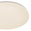 Накладной светильник Escada  10213/SG LED