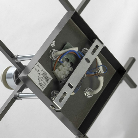 Потолочная люстра Lussole Костанзо LSL-9007-09