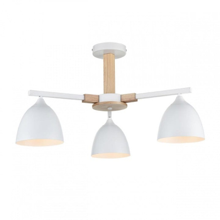 Люстра на штанге Lumion Colange 8095/3C