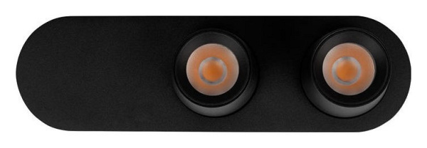 Накладной светильник Loft it Quiet 10320/2 Black