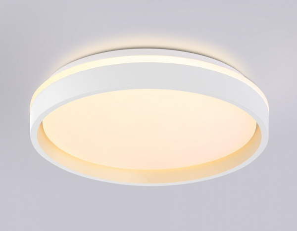 Накладной светильник Ambrella Light FZ FZ601