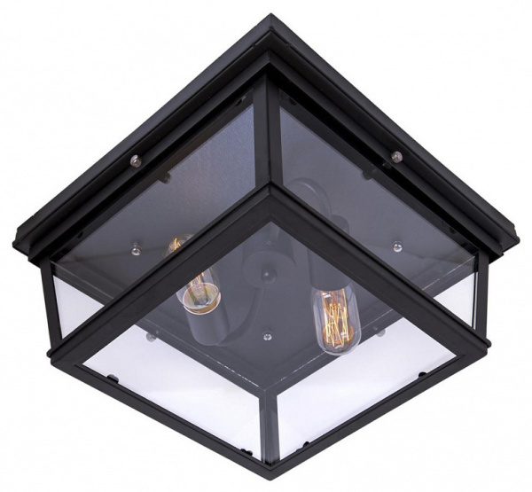 Накладной светильник Loft it Modern Filament LOFT3110-2C