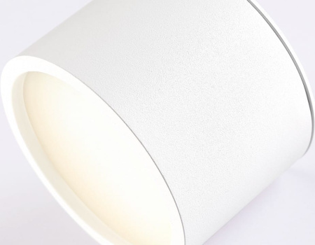 Накладной светильник Ambrella Light TN TN6550
