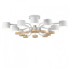Потолочная люстра Lumion Rondo 8196/10C