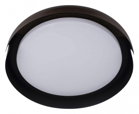 Накладной светильник Loft it Coin 10198 Black