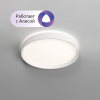 Накладной светильник Denkirs PLATO DK6510-WH