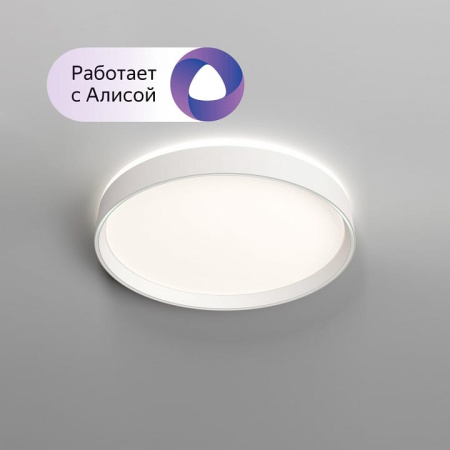 Накладной светильник Denkirs PLATO DK6510-WH