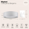 Накладной светильник Maytoni Бергамо MOD617CL-04GR