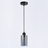 Подвесной светильник Ambrella Light TR TR3695