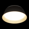 Накладной светильник Loft it Evans 10224 Black