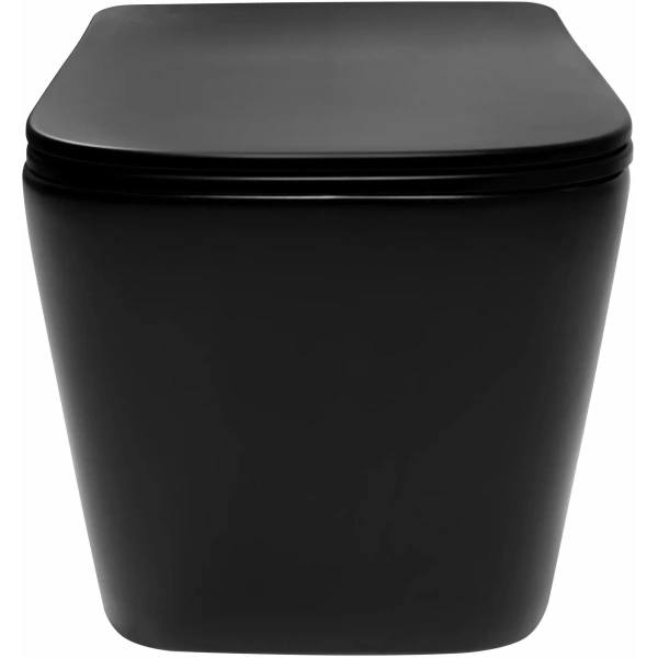 Унитаз подвесной Rea Raul REA-C1100 безободковый, с сиденьем микролифт, черный матовый