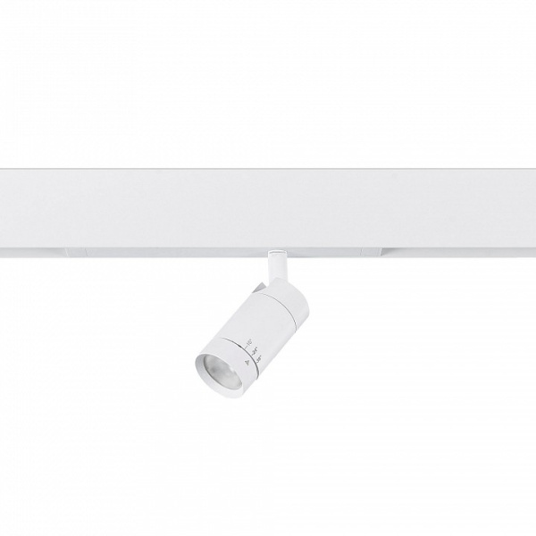 Светильник на штанге ST-Luce ST660 ST660.596.20