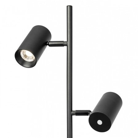 Торшер Citilux Twin CL809011N