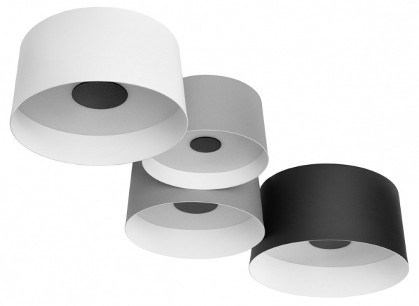 Потолочная люстра Loft it Duo 10360/4